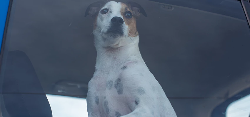 Car Lockout Solutions in West Modesto, California